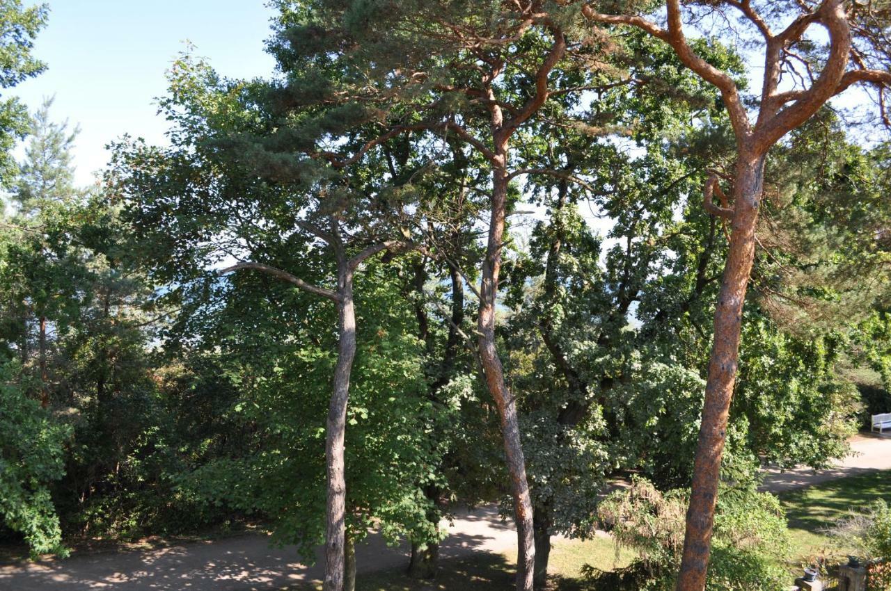 Strandvilla Waldhaus Boltenhagen  Exteriér fotografie